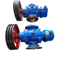 Manufacturers Supply High-Performance Standard Parts Corrosion Resistant Roots Pump Roots Transfer Pump